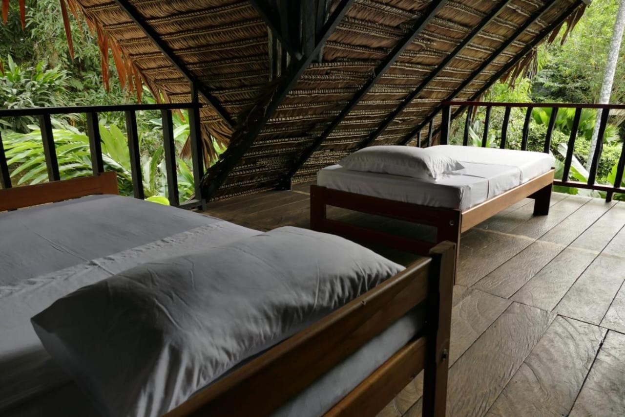 Maloka Napue - Ecodestinos Hotel Puerto Narino Exterior photo