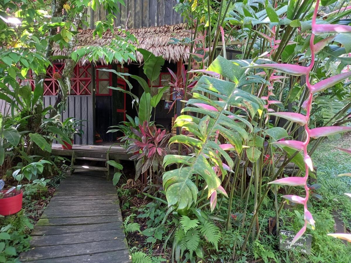 Maloka Napue - Ecodestinos Hotel Puerto Narino Exterior photo