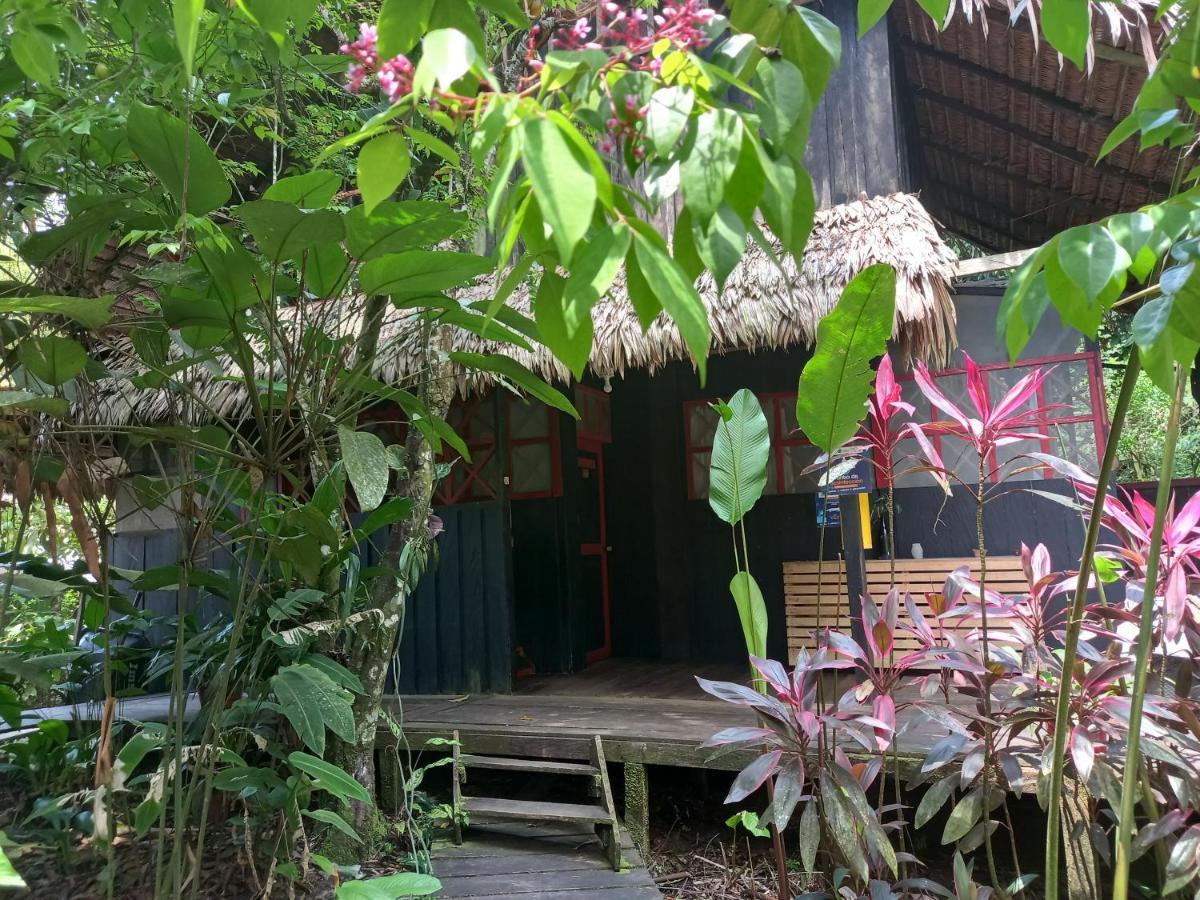 Maloka Napue - Ecodestinos Hotel Puerto Narino Exterior photo